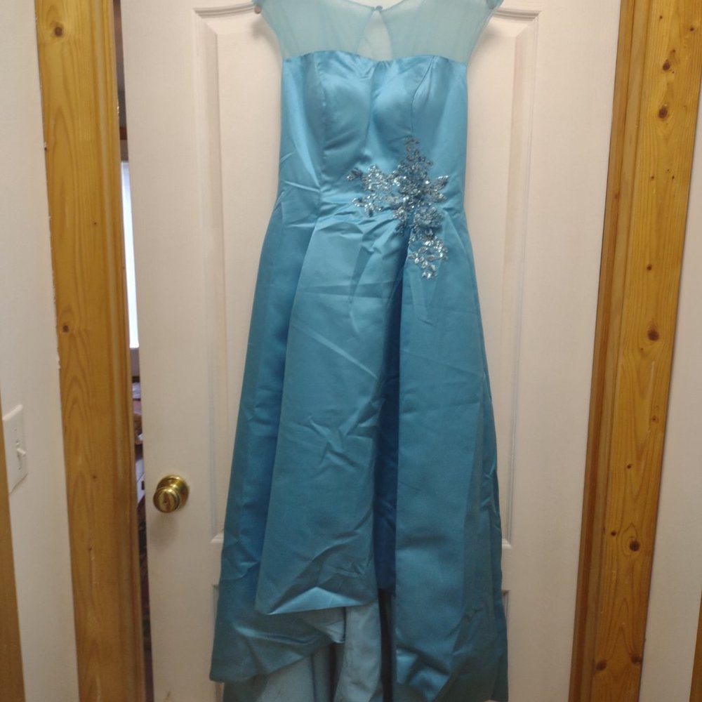Formal Evening Gown **New, never worn - Picture 4 of 5